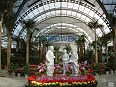 Tianjin Tropical Botanical Sightseeing Garden