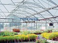 Greenhouse