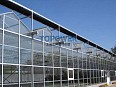 Glasshouse