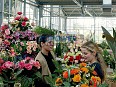 The flower shop