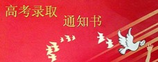 Ouyang Chuanjing, Wu Xunzi won the Shanghai Topower Scholarship